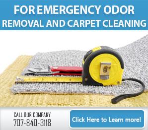Blog | Carpet Cleaning Vallejo, CA