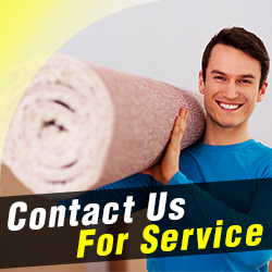 Contact Carpet Cleaning Services in California